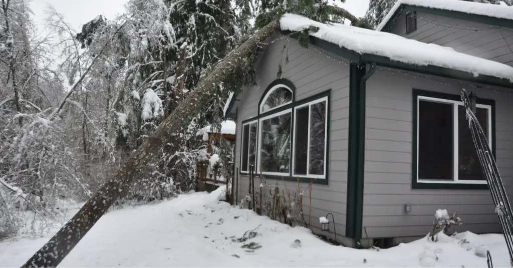 Snow-covered tree fallen onto residential home roof after severe winter storm damage
